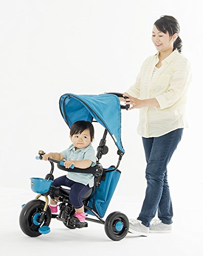 Ides アイデス コンポフィット２ ターコイズブルー 41YB7Z+K5LL._AC_UF350,